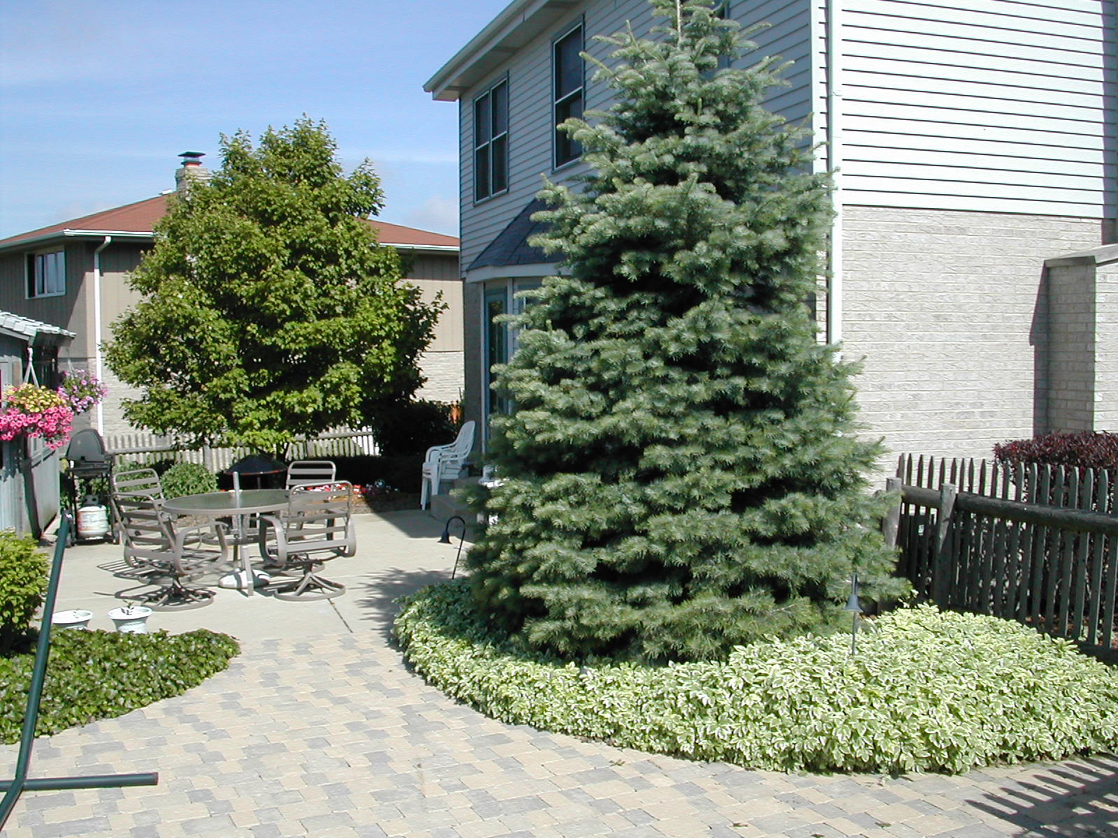 Evergreen Trees Garden Landscaping Center Chicago Garden Designers